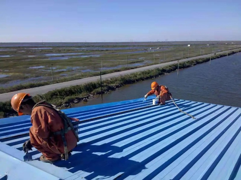 下谷坪土家族乡钢结构屋面漏水原因